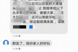 巢湖贷款清欠服务